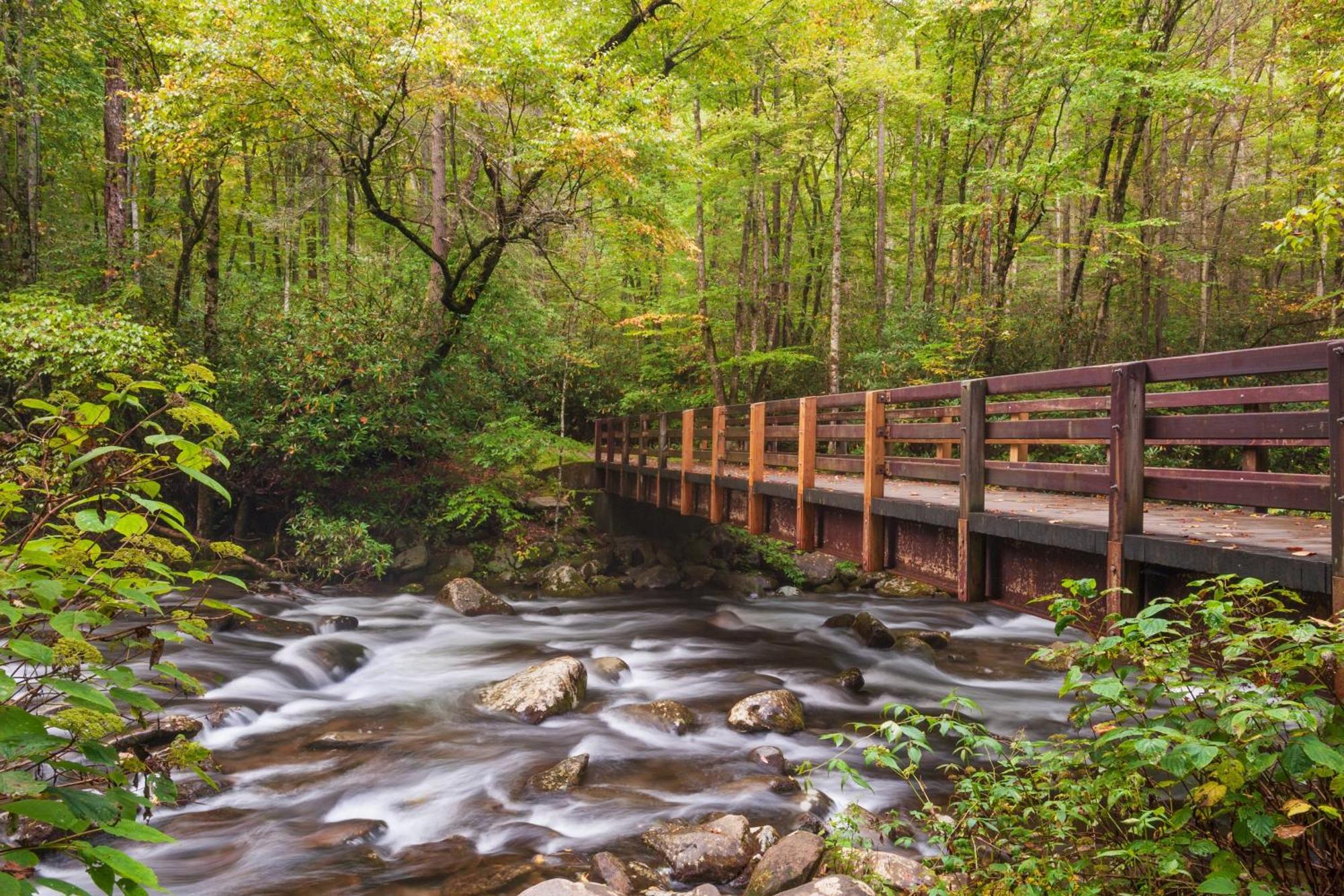 Glori'S Retreat, Game Room, 1089 Of Free Attraction Tickets For Each Paid Day, Dollywood And More Pigeon Forge Exteriér fotografie